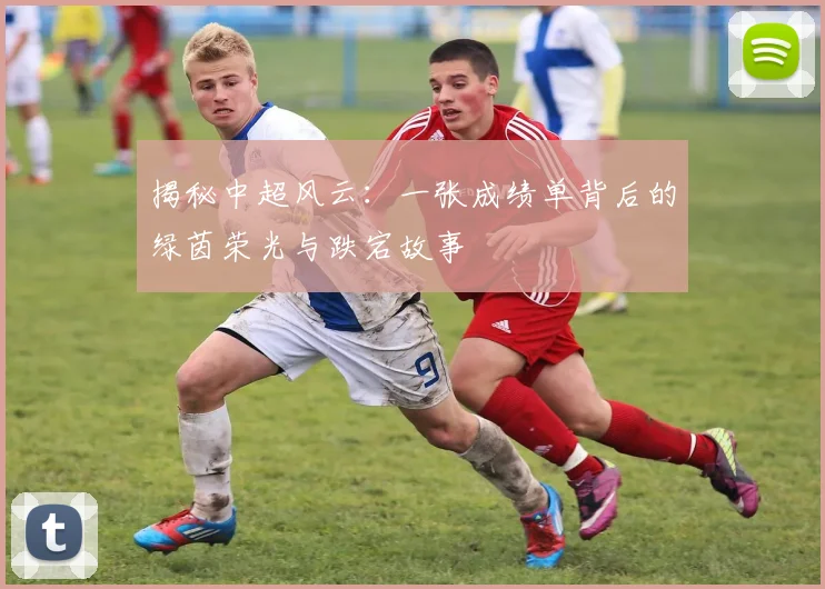 揭秘中超风云:一张成绩单背后的绿茵荣光与跌宕故事